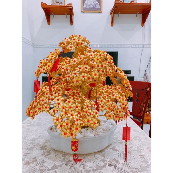 Combo nguyên liệu làm hoa kim tiền mẫu 01 (không kèm chậu)