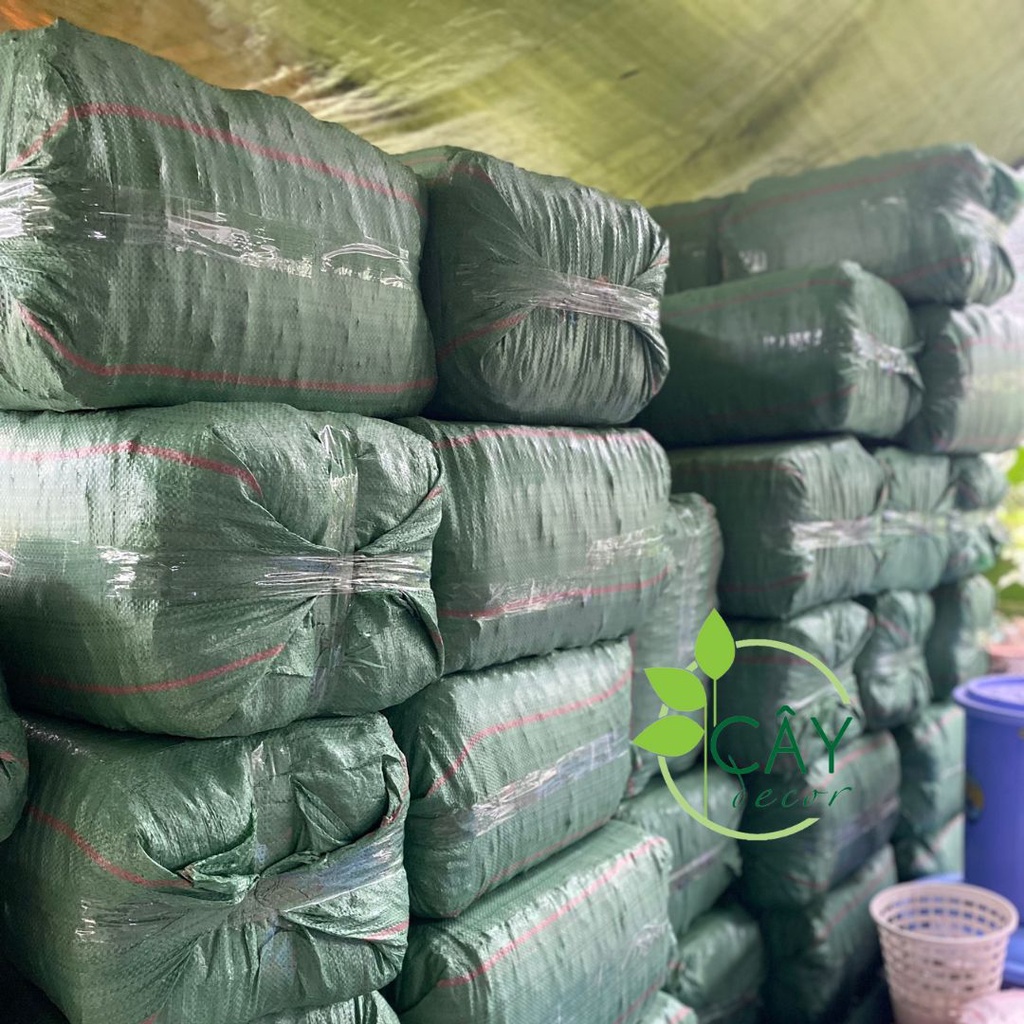 Kiện dừa cục ĐÃ XỬ LÝ CHUẨN EC, đa dạng kích thước, 10-12kg, an toàn cho phong lan, kiểng lá