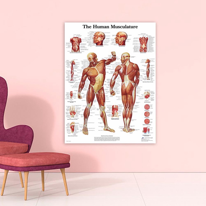 Poster treo tường trang trí bằng chất liệu canvas hình giải phẫu cơ thể