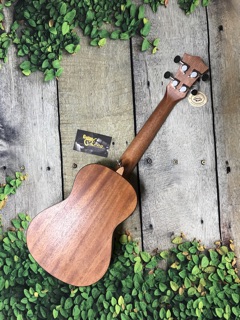 Đàn Ukulele Concert MTB-800 CB1