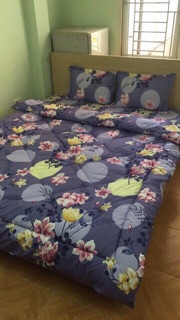 Set chăn ga goi
