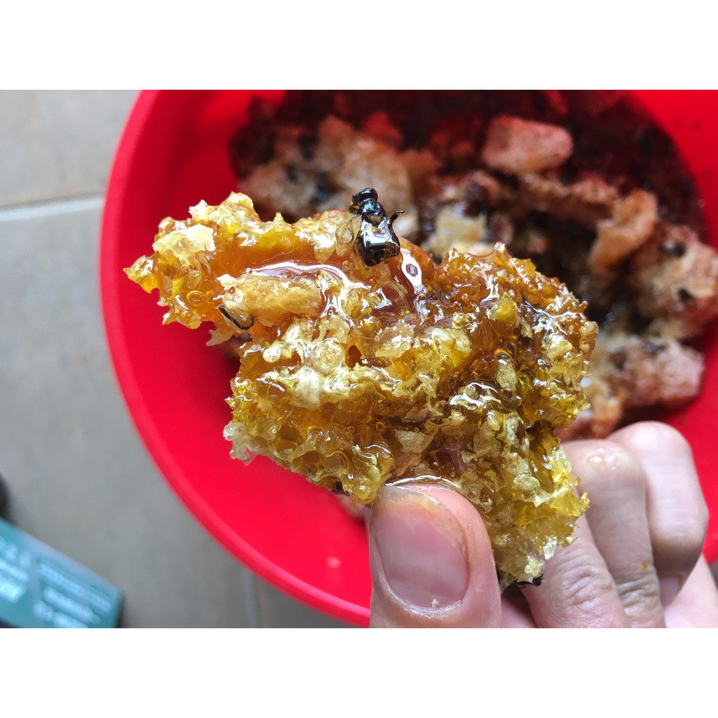 Mật Ong Rừng Tây Bắc 1 lít