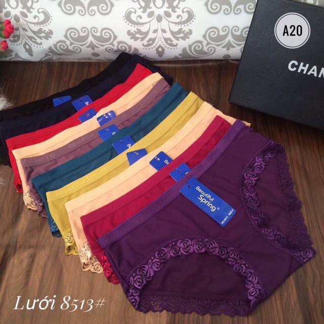 Combo 5 Quần Lót Nữ Phối Ren CAO CẤP Gợi Cảm (Mã 8513) - INBOX SHOP LỰA MÀU - Hiếu Đò Lót