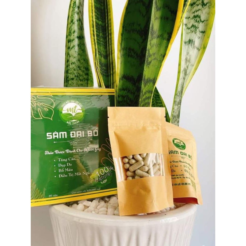 tăng cân sâm  đại bổ