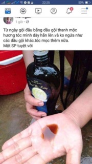 GỘI ĐẦU THANH MỘC HƯƠNG