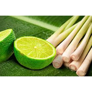 Hương Sả Chanh - Lemongrass Flavor