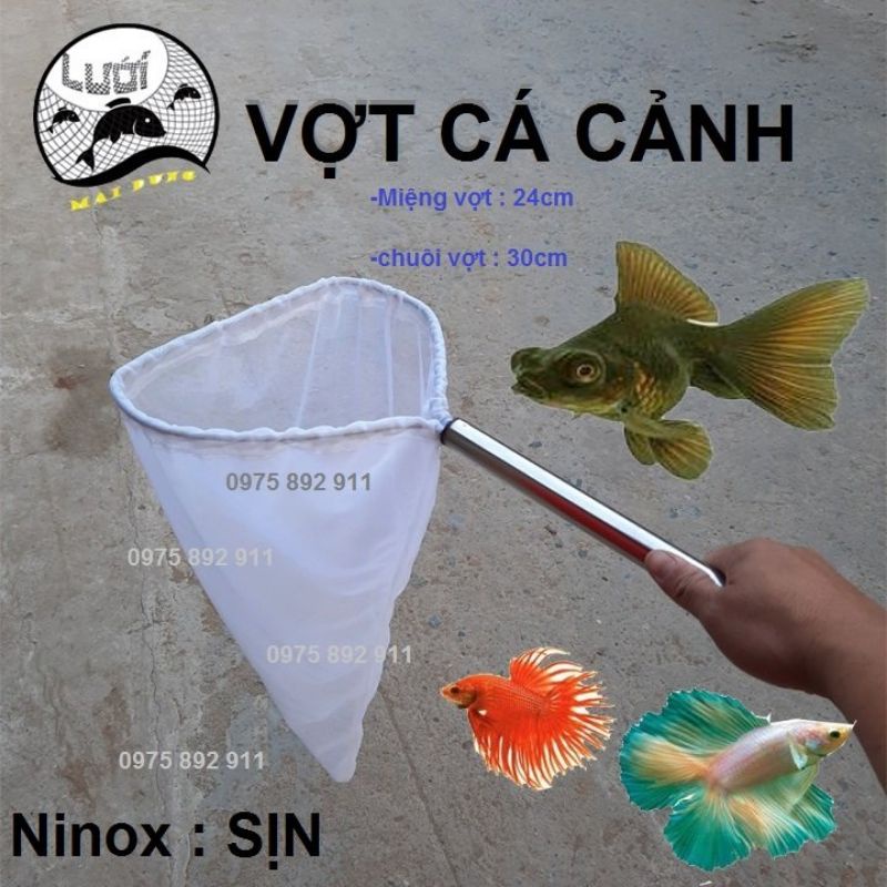 Vợt cá cảnh - loại ninox sịn