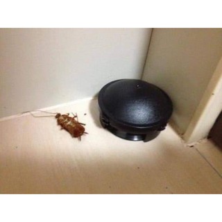 hộp 12 viên Thuốc diệt gián Nhật Bản BARRACKS CAP..