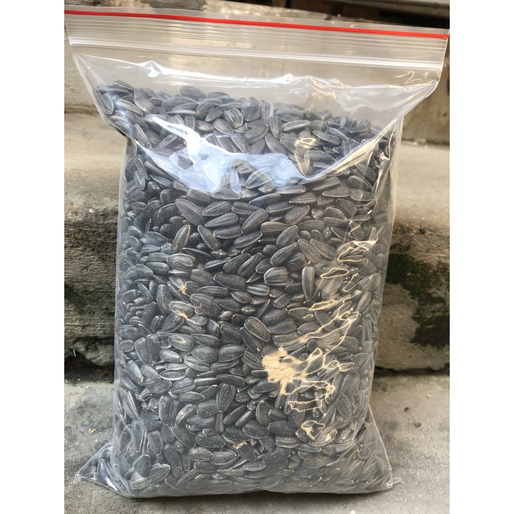 HƯỚNG DƯƠNG SỐNG cho hamster túi 100gr