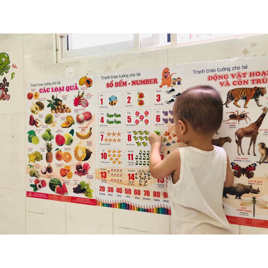 Khám Phá Thế Giới Mới: Tranh Treo Tường 16 Chủ Đề - Bộ Tranh 12 Mặt In Bóng Đẹp, Sự Sáng Tạo và Học Hỏi Cho Bé