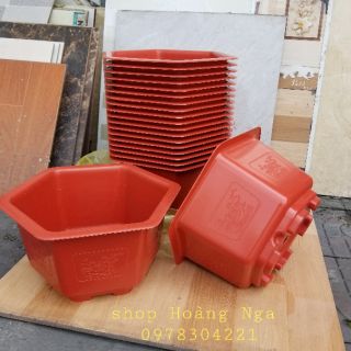 Chậu trồng cây lục giác FAC-280