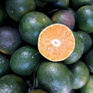 Cam sành Lai Vung🍊🍊🍊
