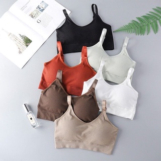 Sỉ áo bra cotton tăm
