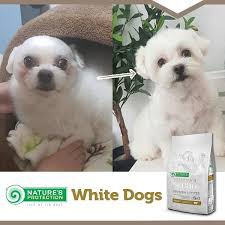 Nature's Protection Superior Care White Dogs Thức Ăn Cho Chó Lông Trắng