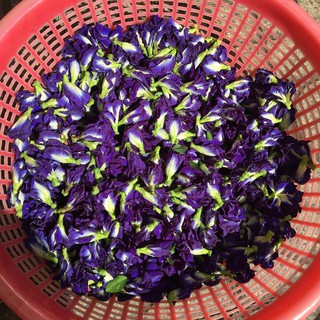 Hoa đậu biếc khô thái lan. 1kg: 450k