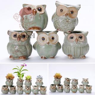 Bộ 5 Chậu Hoa Bằng Sứ Hình Cú Mèo