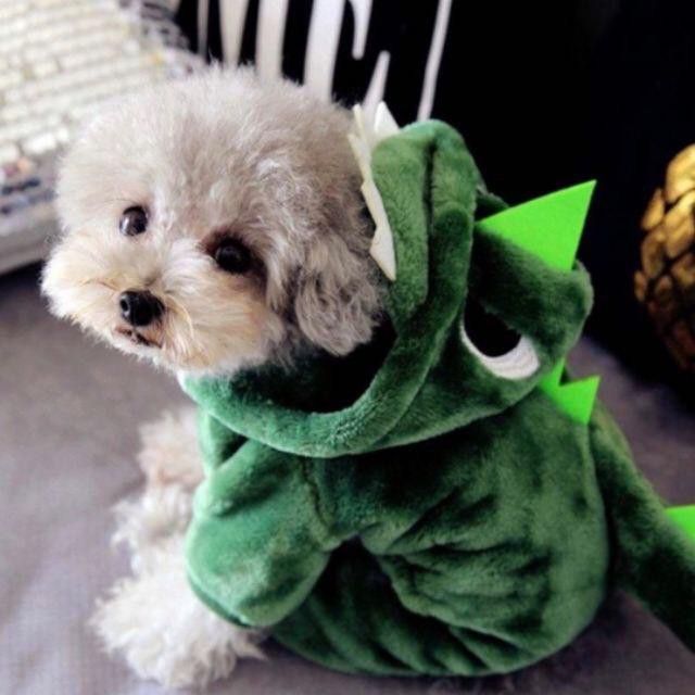 Áo Cosplay khủng long cho chó mèo dễ thương
