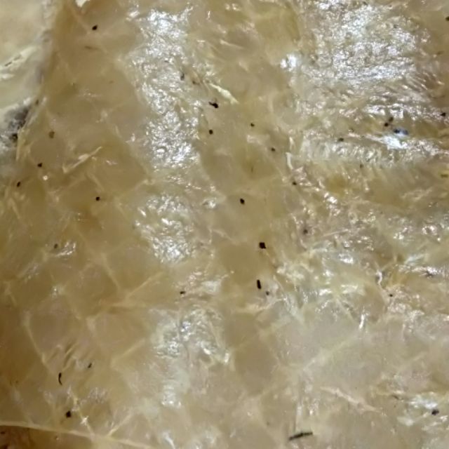 Cá bò miếng vuông 2kg