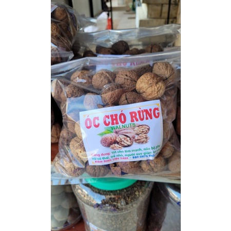 QUẢ ÓC CHÓ RỪNG .