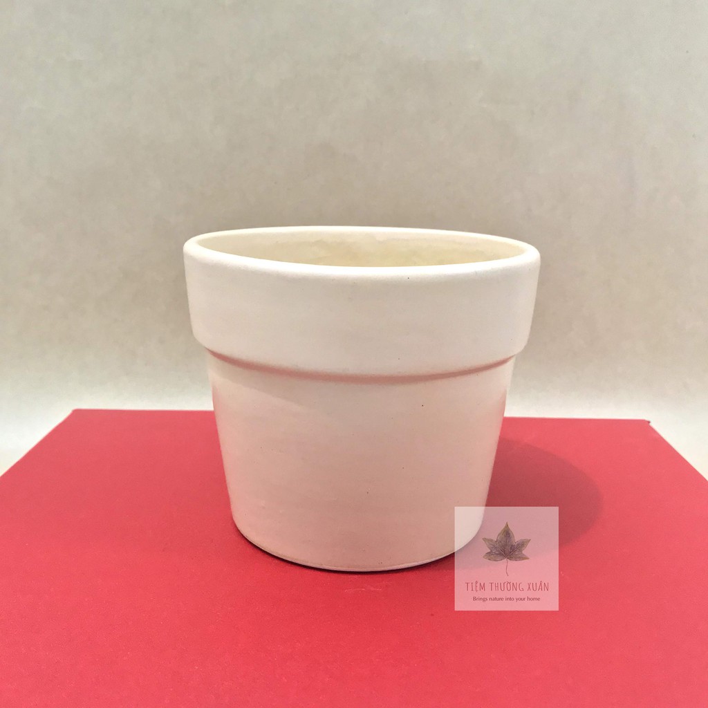 Chậu trồng cây - Size 12x10 cm - Chậu cây, Sen đá, Lọ hoa thủy tinh - Tiệm Thường Xuân