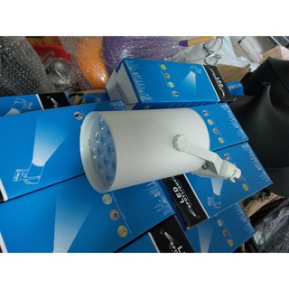 ĐÈN RỌI RAY 12W