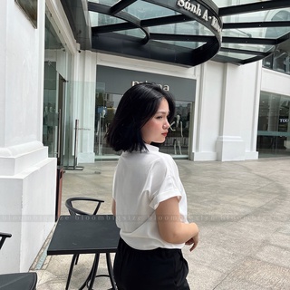 Áo Sơ Mi Nữ BIGSIZE Cổ Đức Cộc Tay (Size Từ 55kg - 85kg)