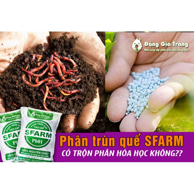 Phân trùn quế cao cấp Đặng Gia Trang 2 kg