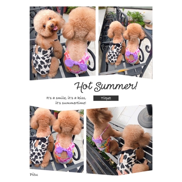 Bikini phối nơ ngực hoạ tiết trái tim/Bikini cao cấp cho chó mèo