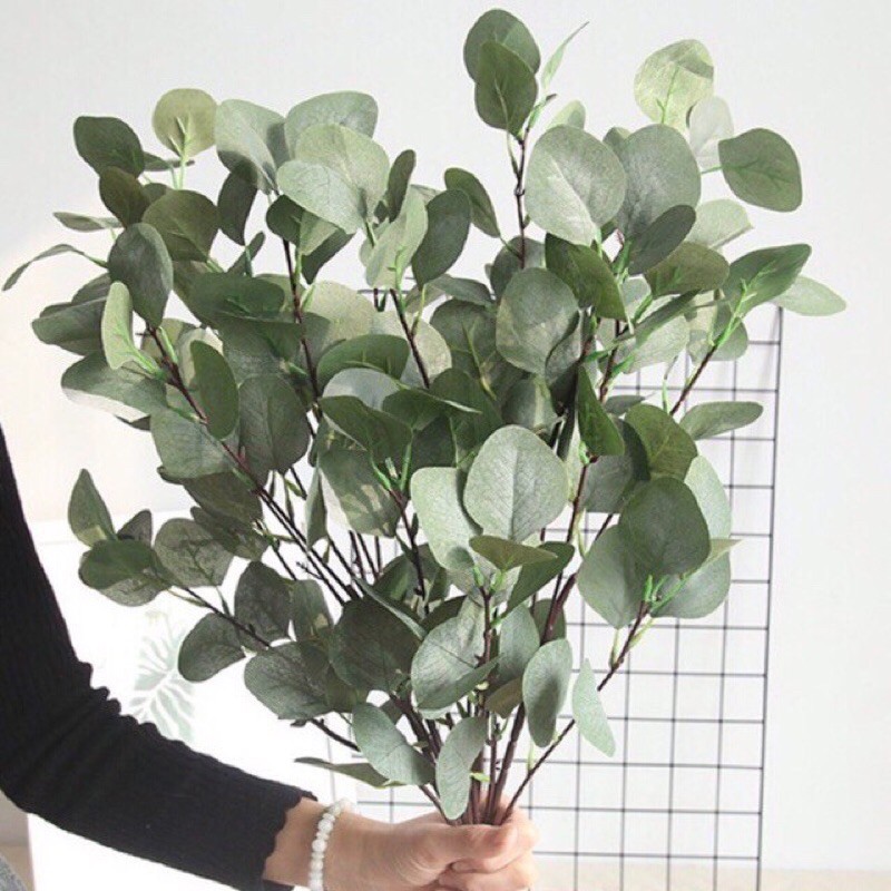 Cành bạch đàn 6 nhánh dài 90cm loại cao cấp,điểm hoa , decor ,phụ kiện chụp ảnh