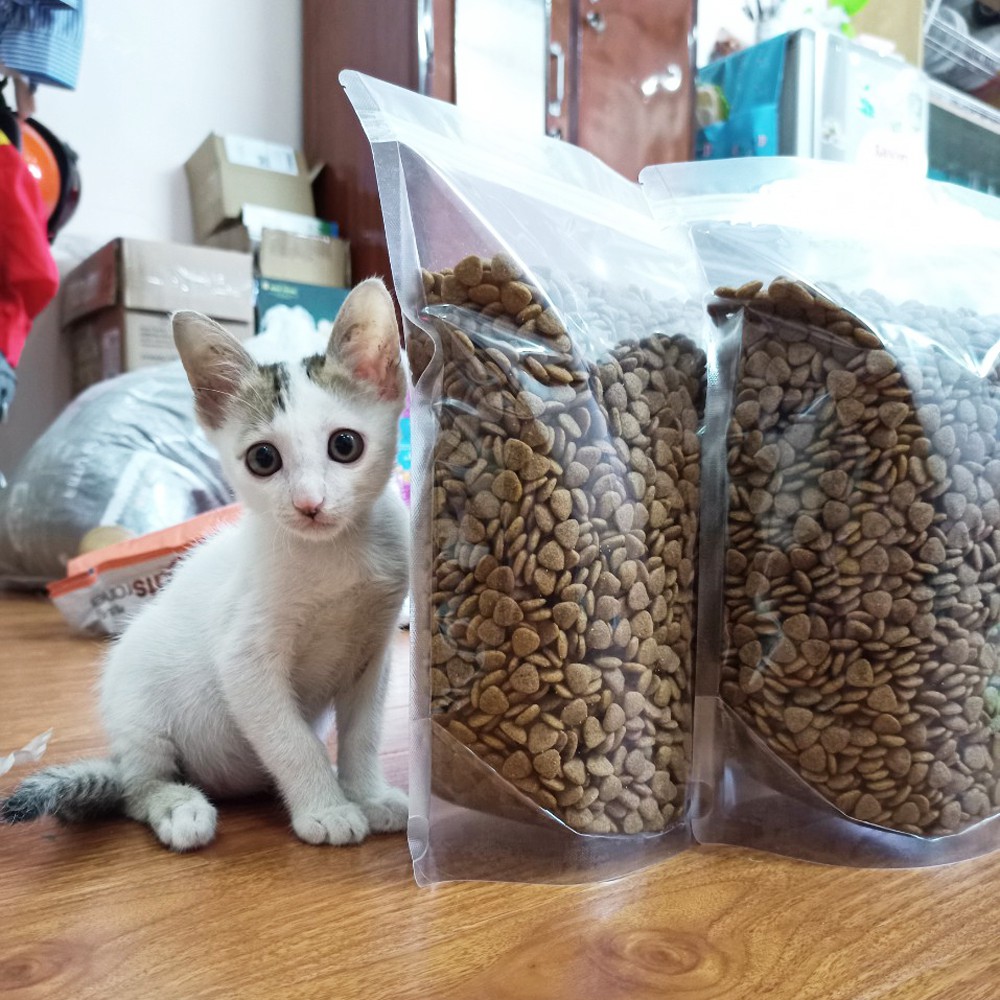 Thức ăn cho mèo Hàn Quốc Catsrang
