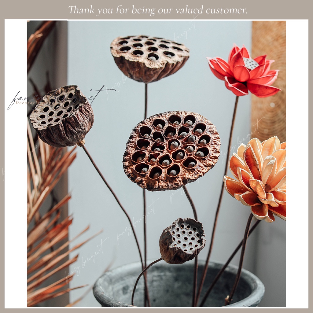 Đài hoa sen khô tự nhiên ❤️FREESHIP❤️ 4 Mẫu Đài sen trang trí decor