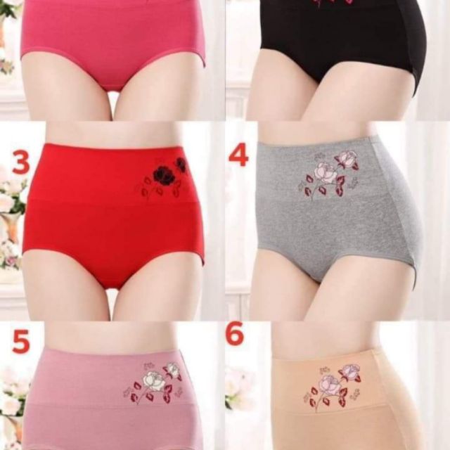 Combo 10 quần lót cotton nữ