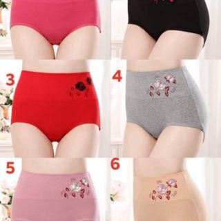 Combo 10 quần lót cotton nữ