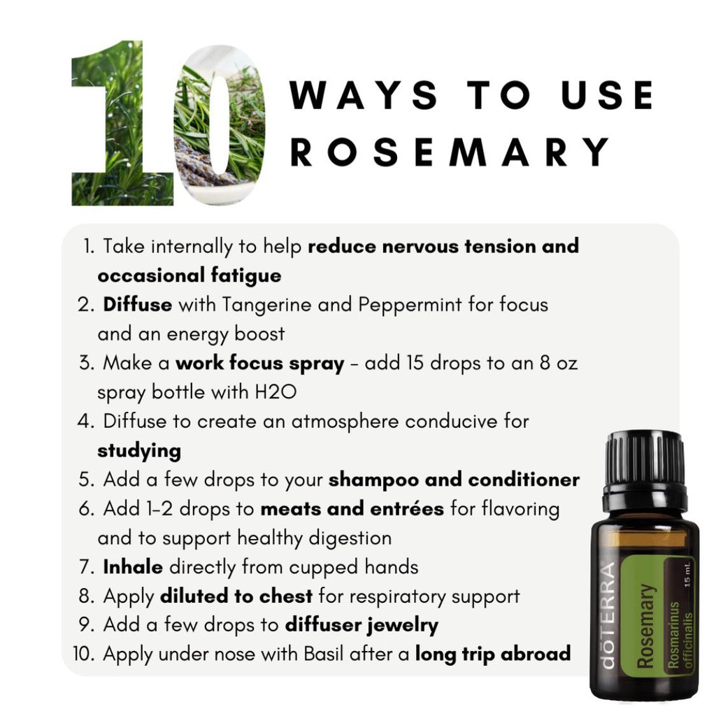 Tinh Dầu Hương Thảo Rosemary Tinh Dầu Nguyên Chất doTERRA  - doTERRA Essential Oil - Rosemary Oil 15ml