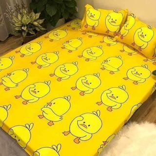 Drap cotton poly giá  nguyên sét chỉ còn  200k