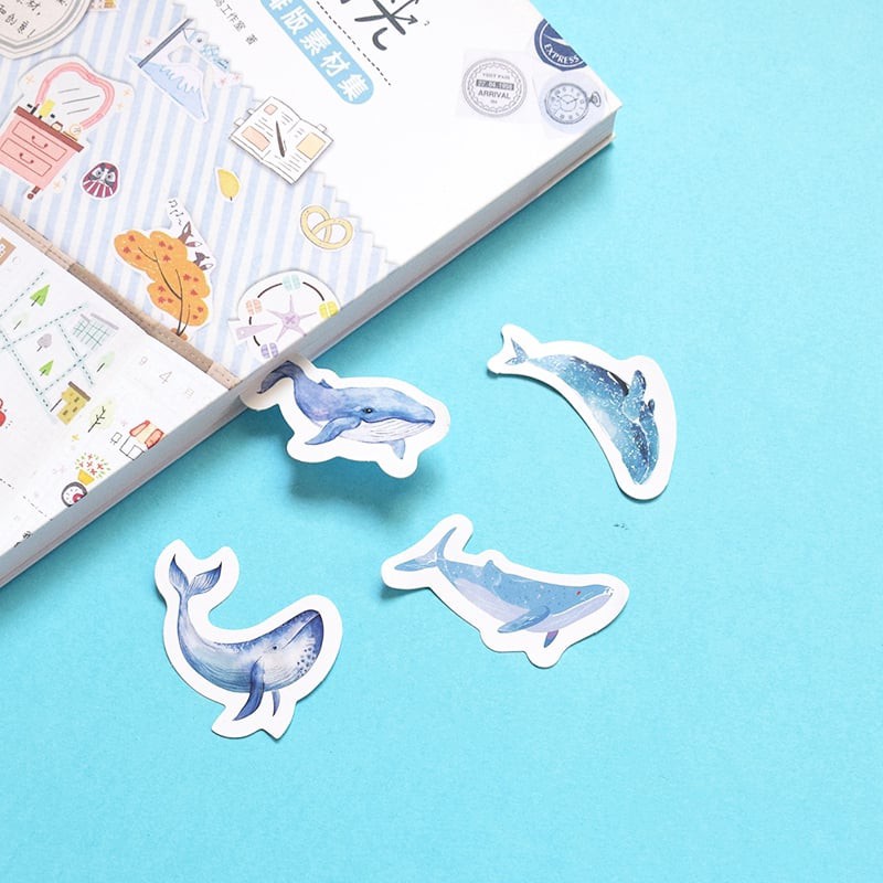Hộp 45 Sticker Dán Cá Voi Đại Dương
