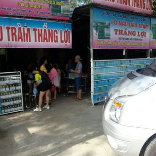 Tinh Dầu Tràm Thắng Lợi 100ml