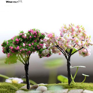 Cây cảnh mini trang trí xinh xắn