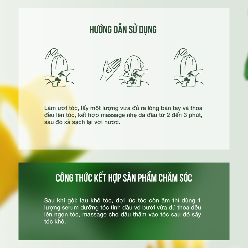 Dầu gội Bưởi kích thích mọc tóc, giảm giàu hiệu quả 30ml JULYHOUSE | BigBuy360 - bigbuy360.vn