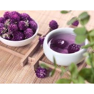 HẠT GIỐNG CÚC BÁCH NHẬT TÍM(50H)