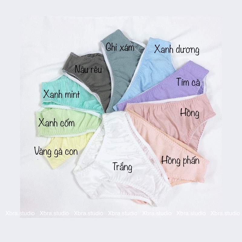 Quần lót cotton basic tone màu pastel dễ thương | WebRaoVat - webraovat.net.vn