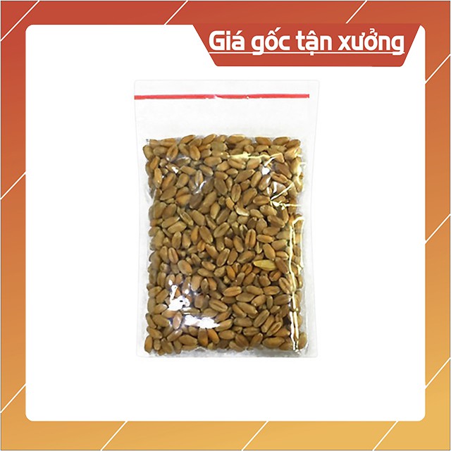 Gói 50g Hạt Giống Cỏ Mèo Trồng Tại Nhà Cho Mèo Ăn Chống Búi Lông Tắc Ruột - Bobo Pet Shop Hà Nội