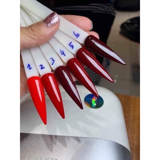 set sơn gel màu đỏ 6 chai