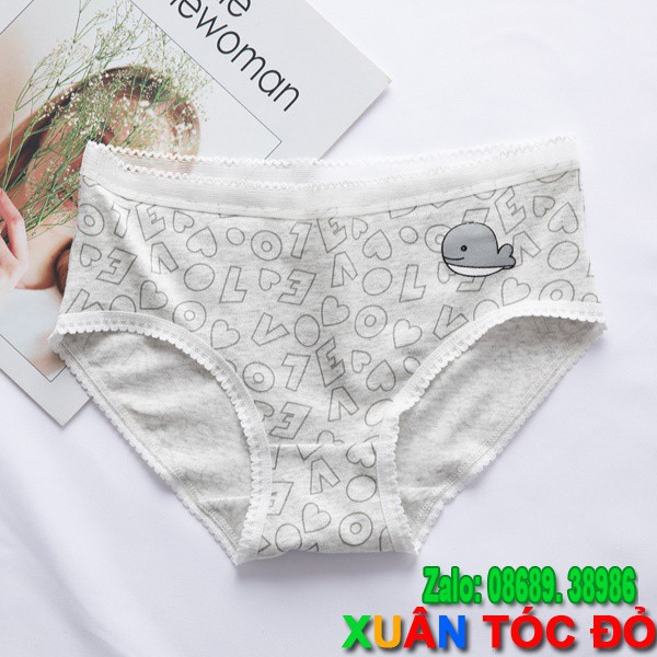[Mã WASTDEP giảm 5K đơn bất kì] SỈ ZALO RẺ HƠN NHIỀU_ Quần Lót 5 Kiểu Cá Heo Cute N013 | BigBuy360 - bigbuy360.vn