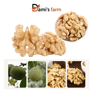 Nhân hạt óc chó nếp hữu cơ sấy tách vỏ 500g