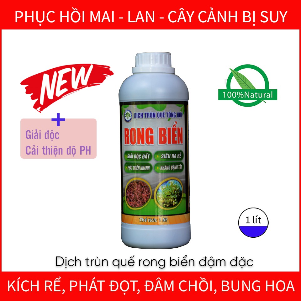 Phân bón hữu cơ vi sinh DỊCH TRÙN QUẾ RONG BIỂN chăm sóc cây cảnh, cây hoa kiểng, rau củ, cây ăn quả - chai 1 lít