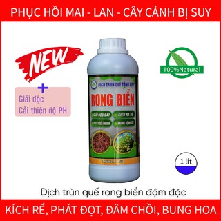 Phân bón hữu cơ DỊCH TRÙN QUẾ RONG BIỂN cho cây cảnh, cây hoa kiểng, rau củ, cây ăn quả - chai 1 lít