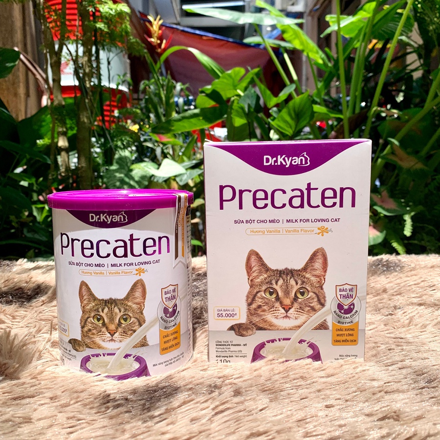 Sữa Bột Cho Mèo Precaten Dr. Kyan Giàu Dinh Dưỡng Hỗ Trợ Phát Triển Trí Não - Circle Pet