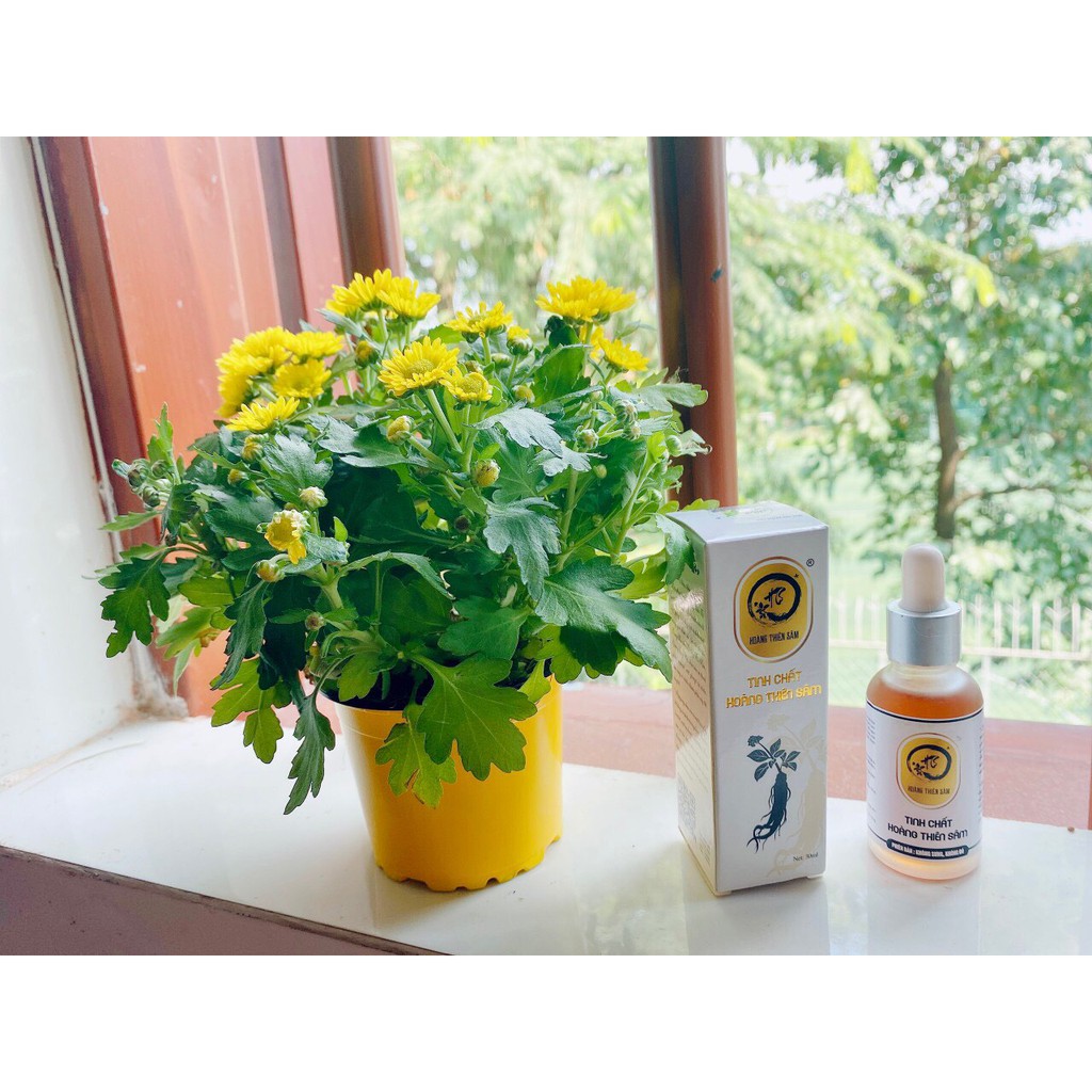 [DỊCH VẪN GIAO] Hoàng Thiên Sâm Vip Không Sưng Đỏ Da 30ml | BigBuy360 - bigbuy360.vn