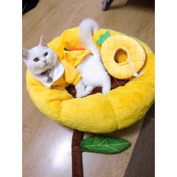 Đệm cho thú cưng hình hoa, đệm ấm chó mèo